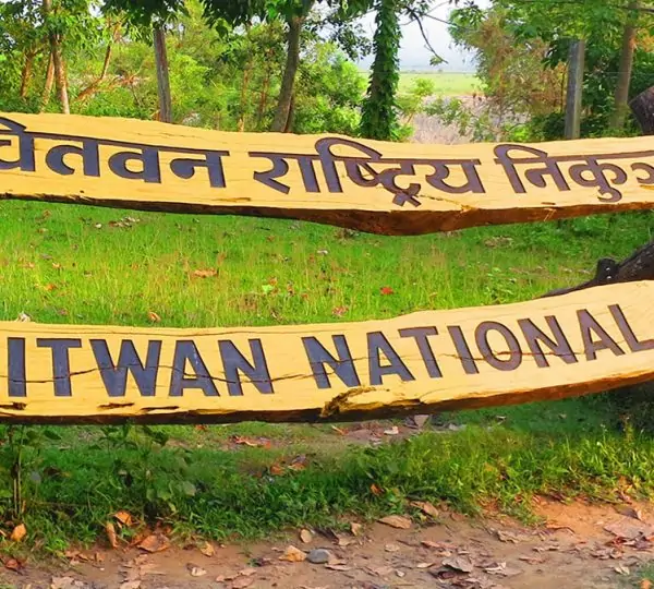Wooden signboard displaying “Chitwan National Park” surrounded by lush greenery, marking the entrance to Nepal’s famous wildlife reserve.
