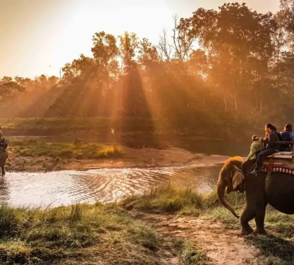 Elephant safari along a forest trail during a vibrant sunset in Chitwan National Park, Nepal.