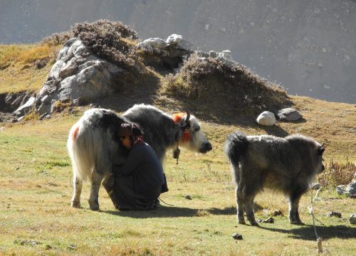 Major Attractions of the Seven Provinces of Nepal (2025)