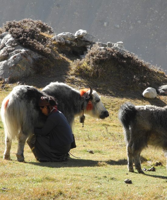 Major Attractions of the Seven Provinces of Nepal (2025)