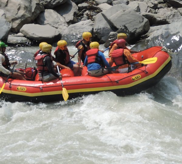 A group of rafters paddling together in a raft navigating whitewater rapids surrounded by lush greenery.