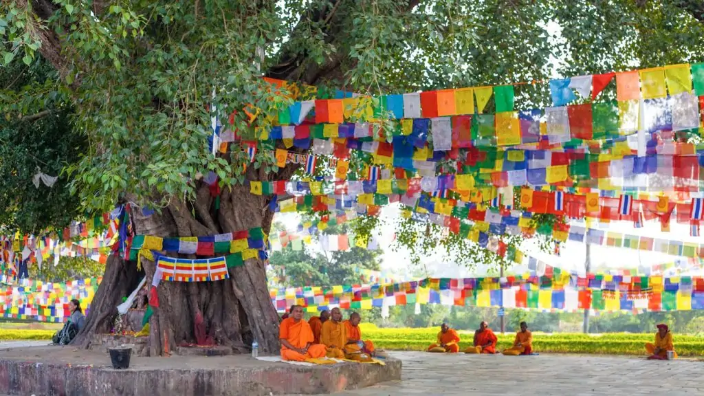 A sacred tree in Lumbini adorned with prayer flags, offering a peaceful place for reflection near the birthplace of Lord Buddha.