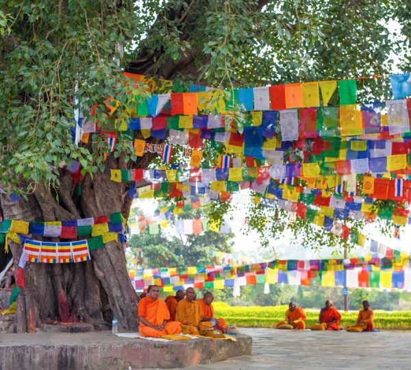A sacred tree in Lumbini adorned with prayer flags, offering a peaceful place for reflection near the birthplace of Lord Buddha.
