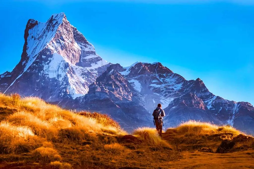Mardi Himal Trekking